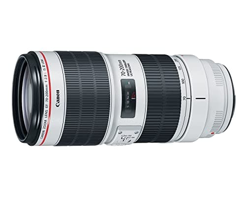 Variant image 0 of Canon EF 70-200mm F2.8L IS III USM