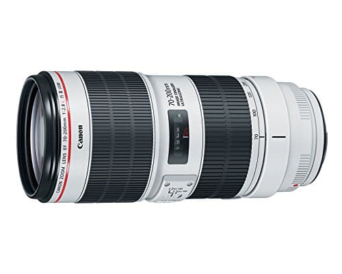 Variant image 2 of Canon EF 70-200mm F2.8L IS III USM