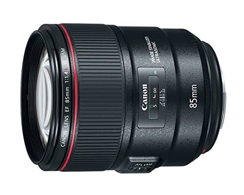 Picture of Canon EF 85mm F1.4L IS USM