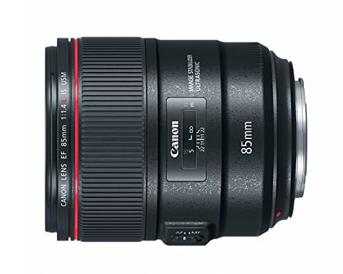Variant image 0 of Canon EF 85mm F1.4L IS USM