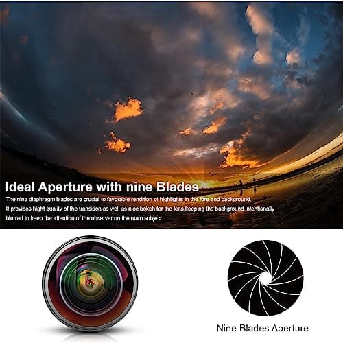 Variant image 4 of Kamlan 8mm F3.0 Fisheye