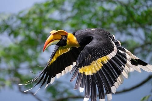 Variant image 5 of Nikon Nikkor Z 600mm F6.3 VR S