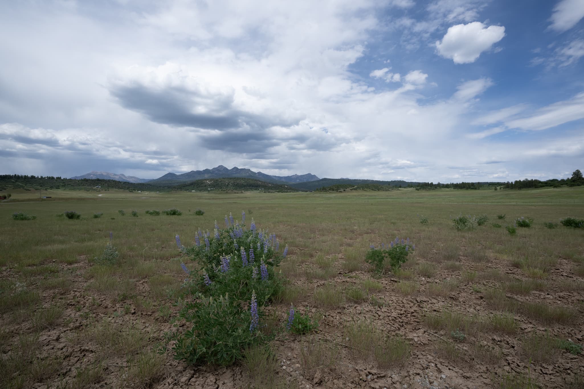 Nikon Z 14-24mm f/2.8 S at 16mm
