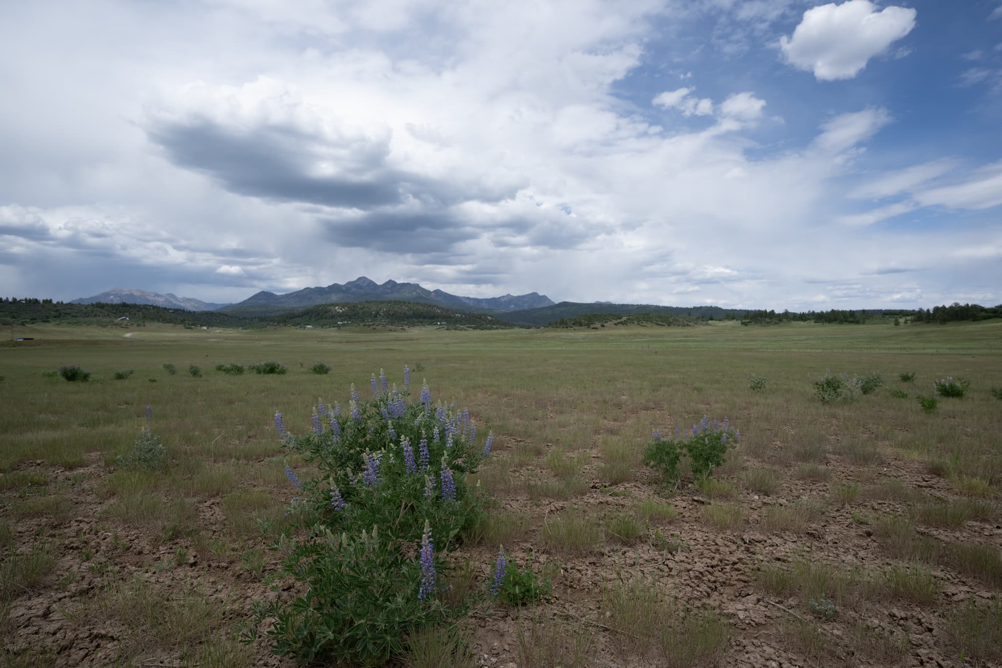 Nikon Z 14-24mm f/2.8 S at 18mm