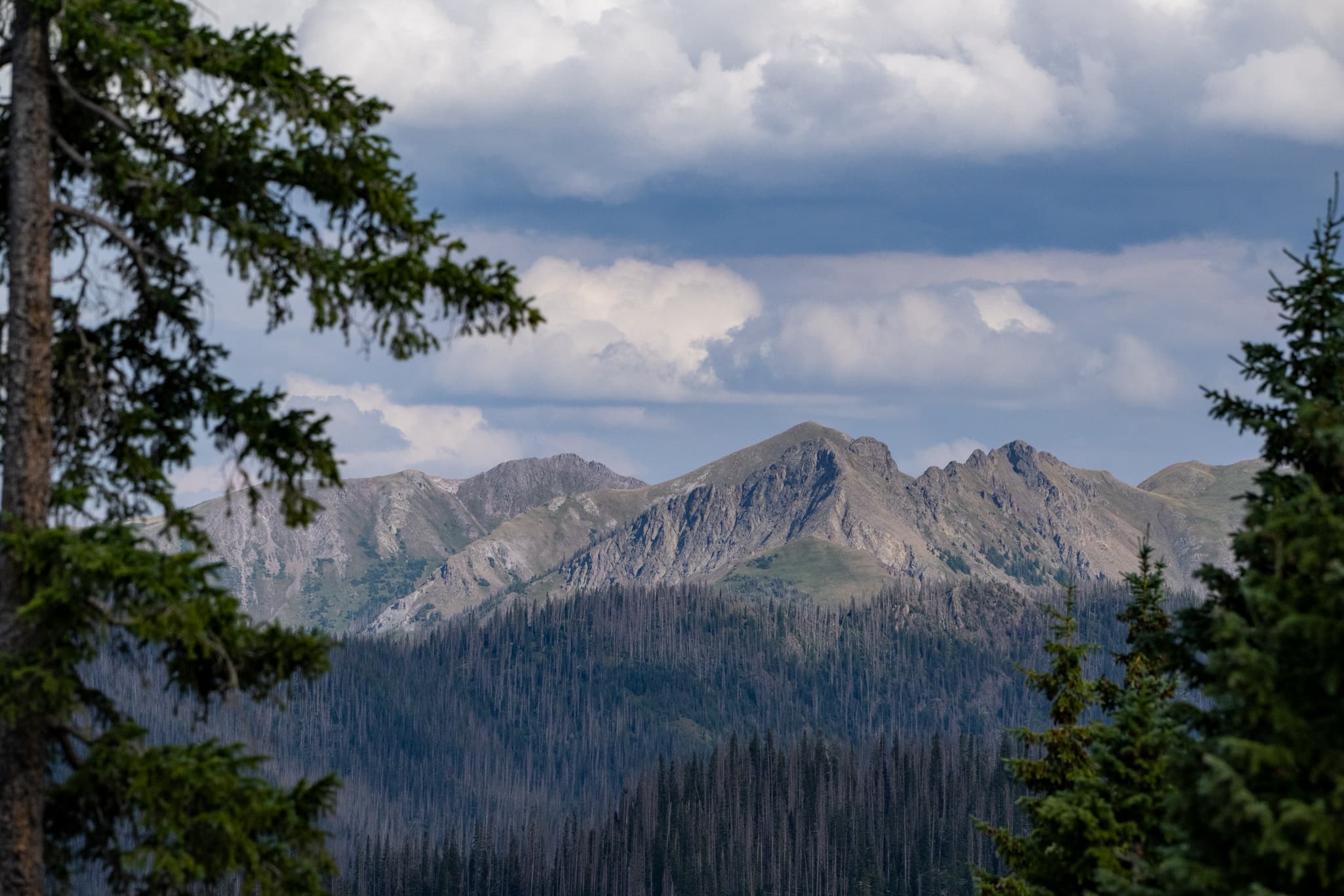 Landscape photography with the Nikon Z 180-600mm f/5.6-6.3 VR