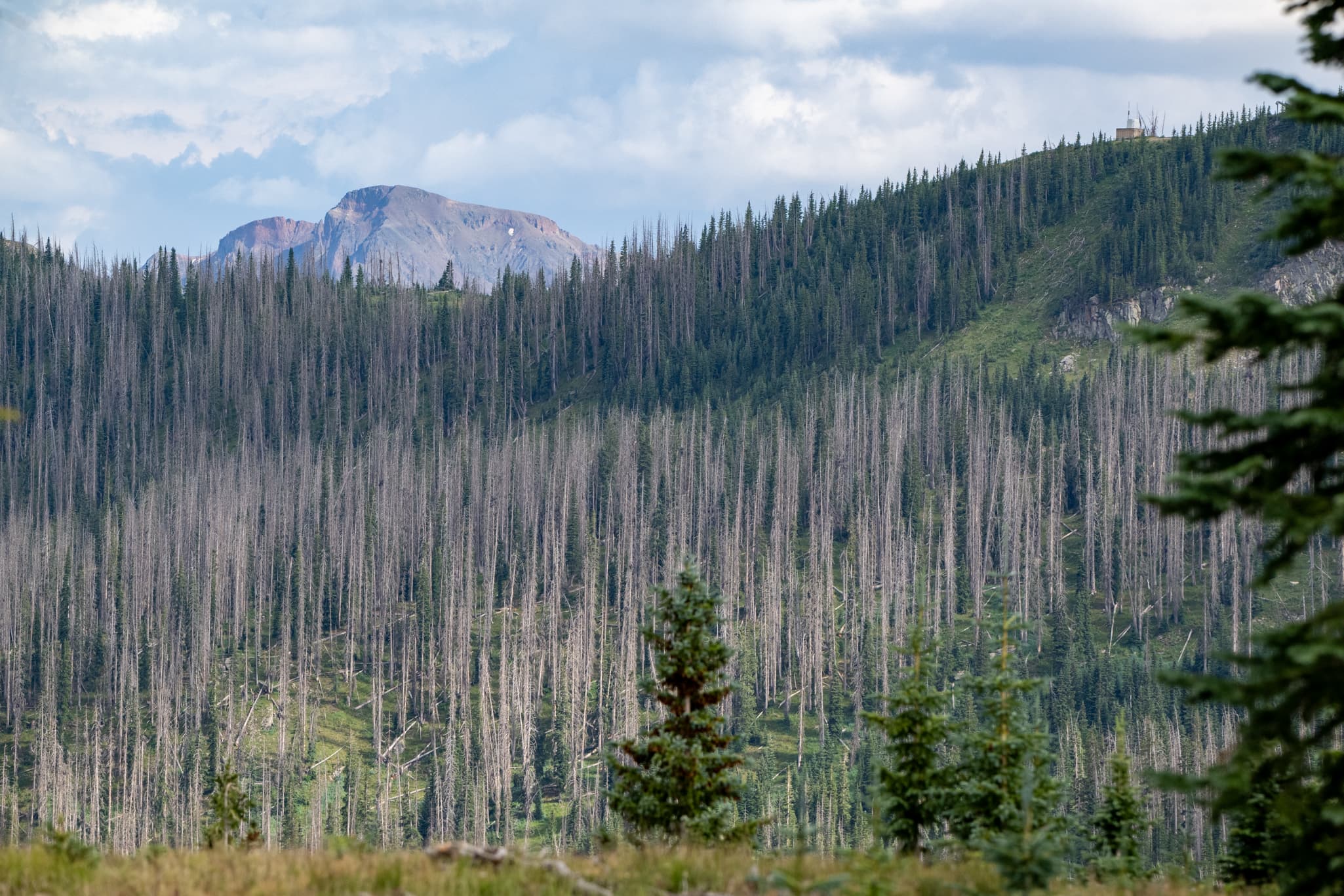 Landscape photography with the Nikon Z 180-600mm f/5.6-6.3 VR