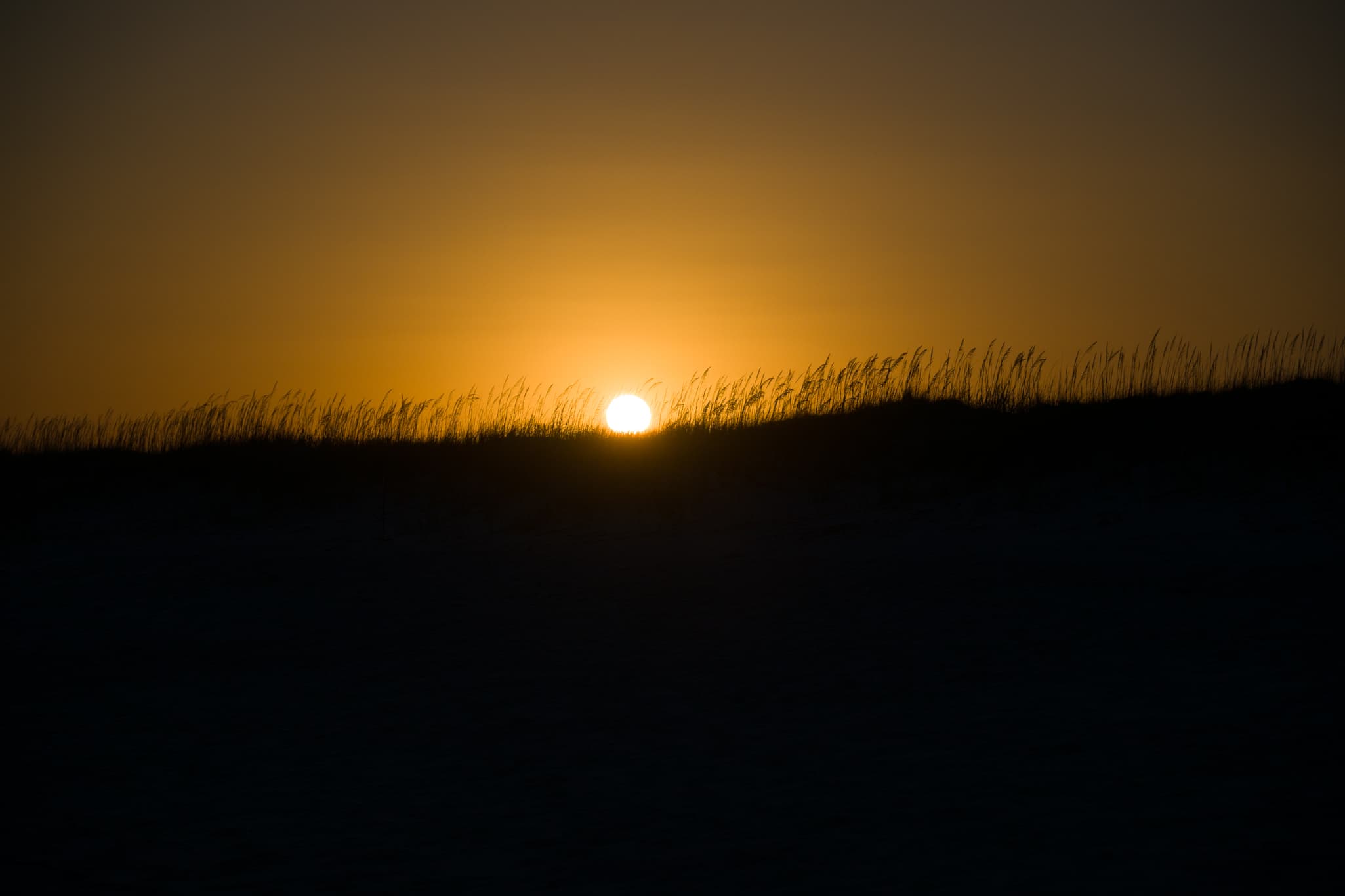 Low light photography with the Nikon Z 24-120mm f/4 S
