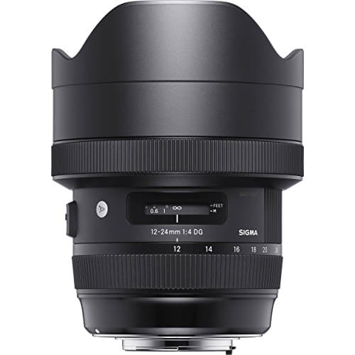 Picture of Sigma 12-24mm F4 DG HSM Art