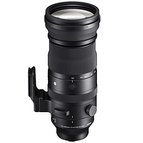 Picture of Sigma 150-600mm F5-6.3 DG DN OS