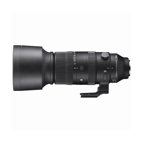 Picture of Sigma 60-600mm F4.5-6.3 DG DN OS