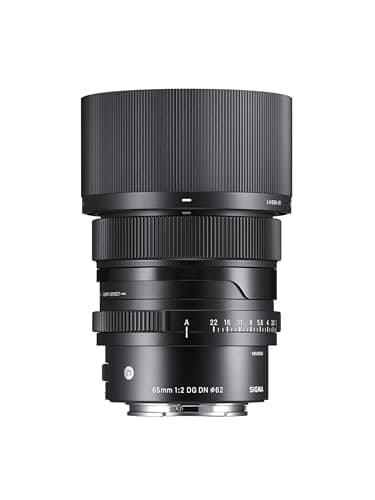 Picture of Sigma 65mm F2 DG DN