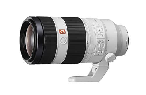 Picture of Sony FE 100-400mm F4.5-5.6 GM OSS