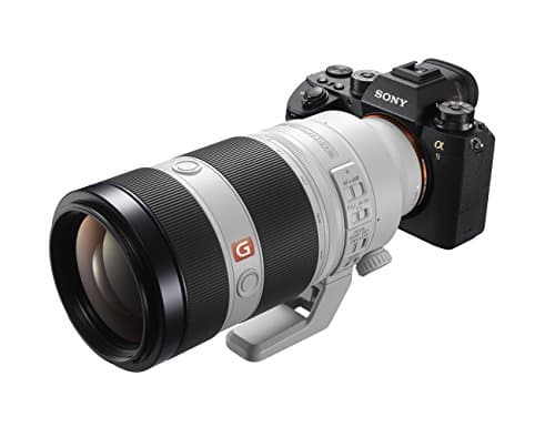 Variant image 1 of Sony FE 100-400mm F4.5-5.6 GM OSS