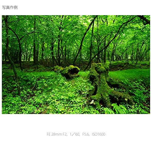 Variant image 7 of Sony FE 28mm F2