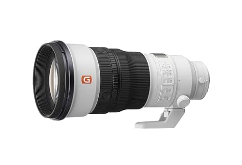 Picture of Sony FE 300mm F2.8 GM OSS
