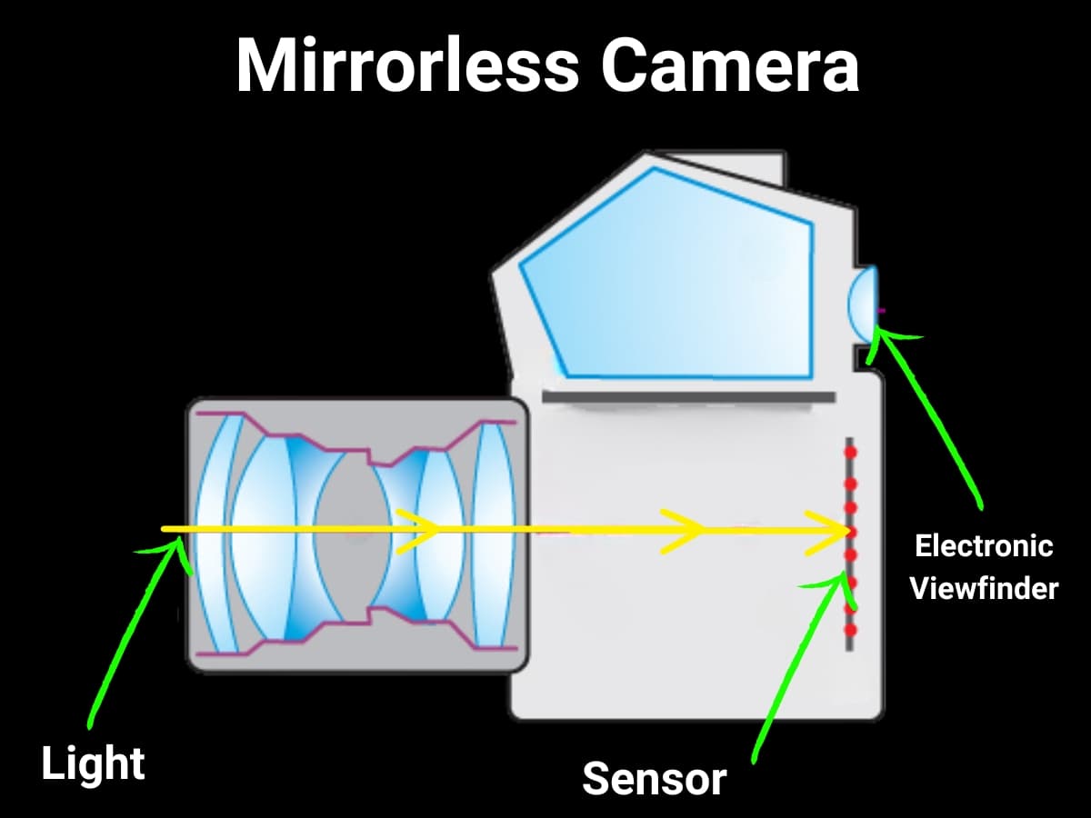Graphic showing how a mirrorless camera works.