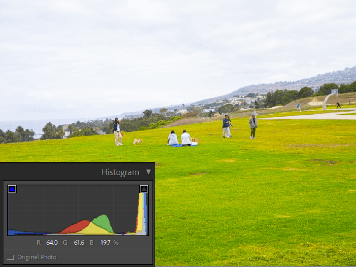 People on grass with oversaturation histogram.