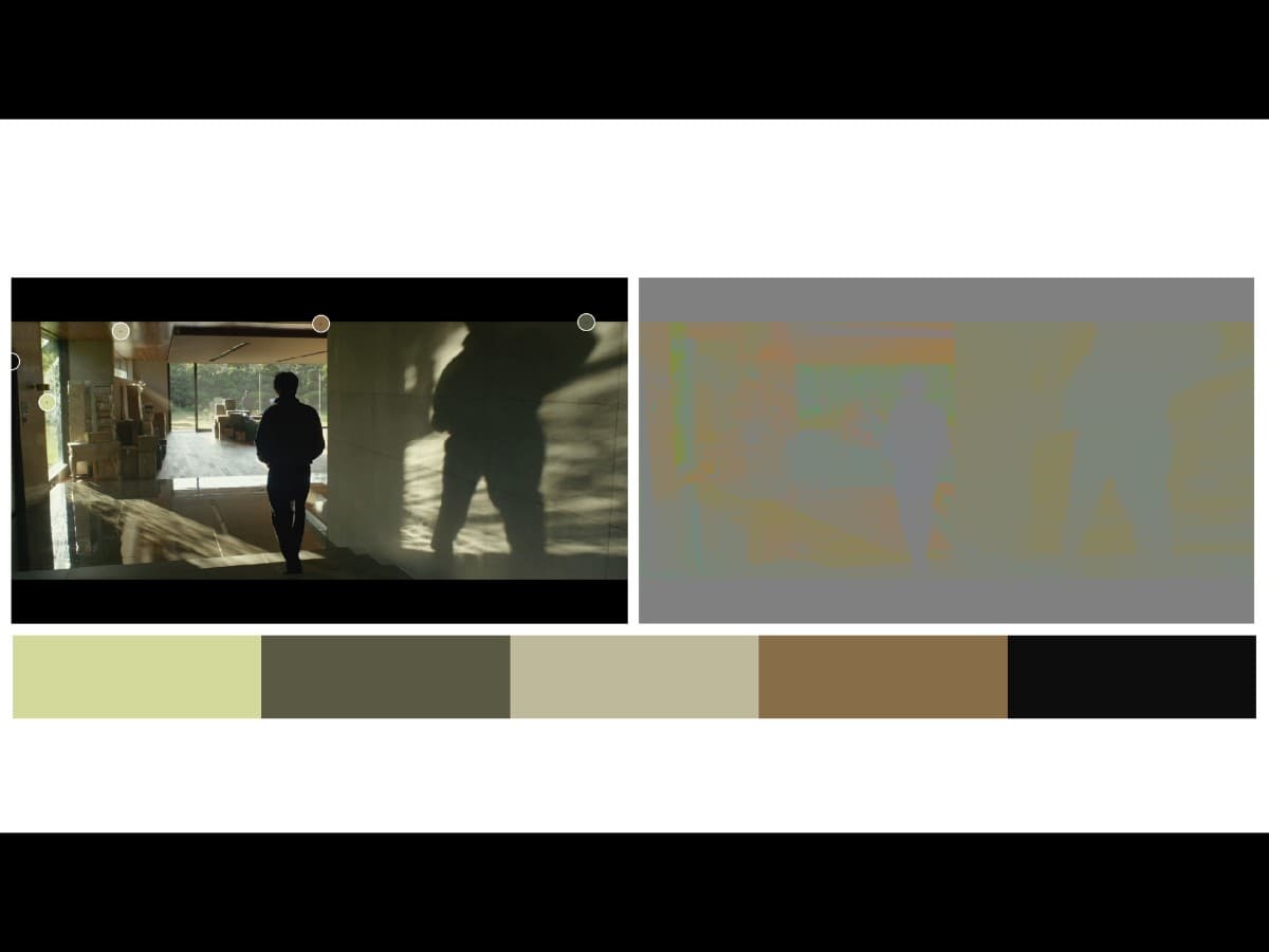 Color from scene in Parasite where Ki-Woo's father is coming out of room.