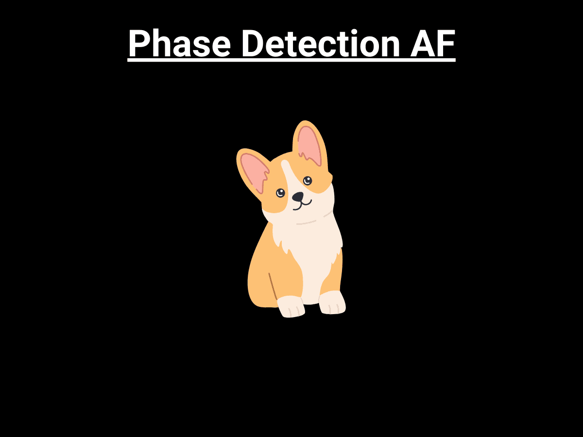 Graphic showing phase detection AF after being lined up.