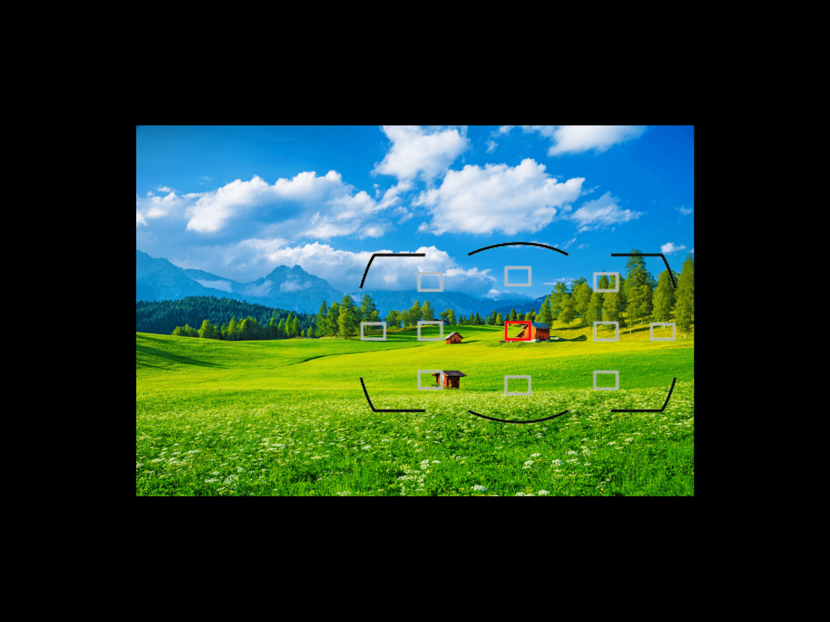 Using Single Point AF for landscape photography.