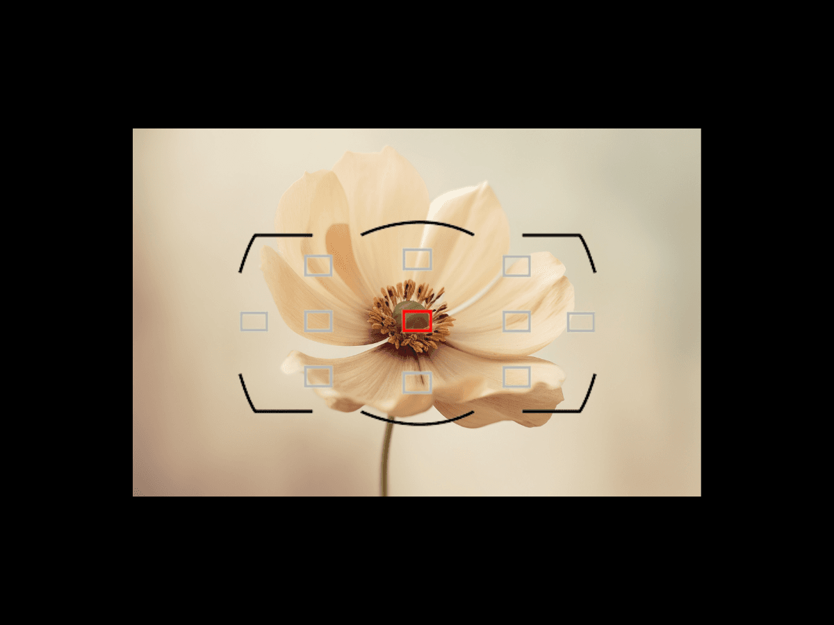 Using Single Point AF for macro photography.