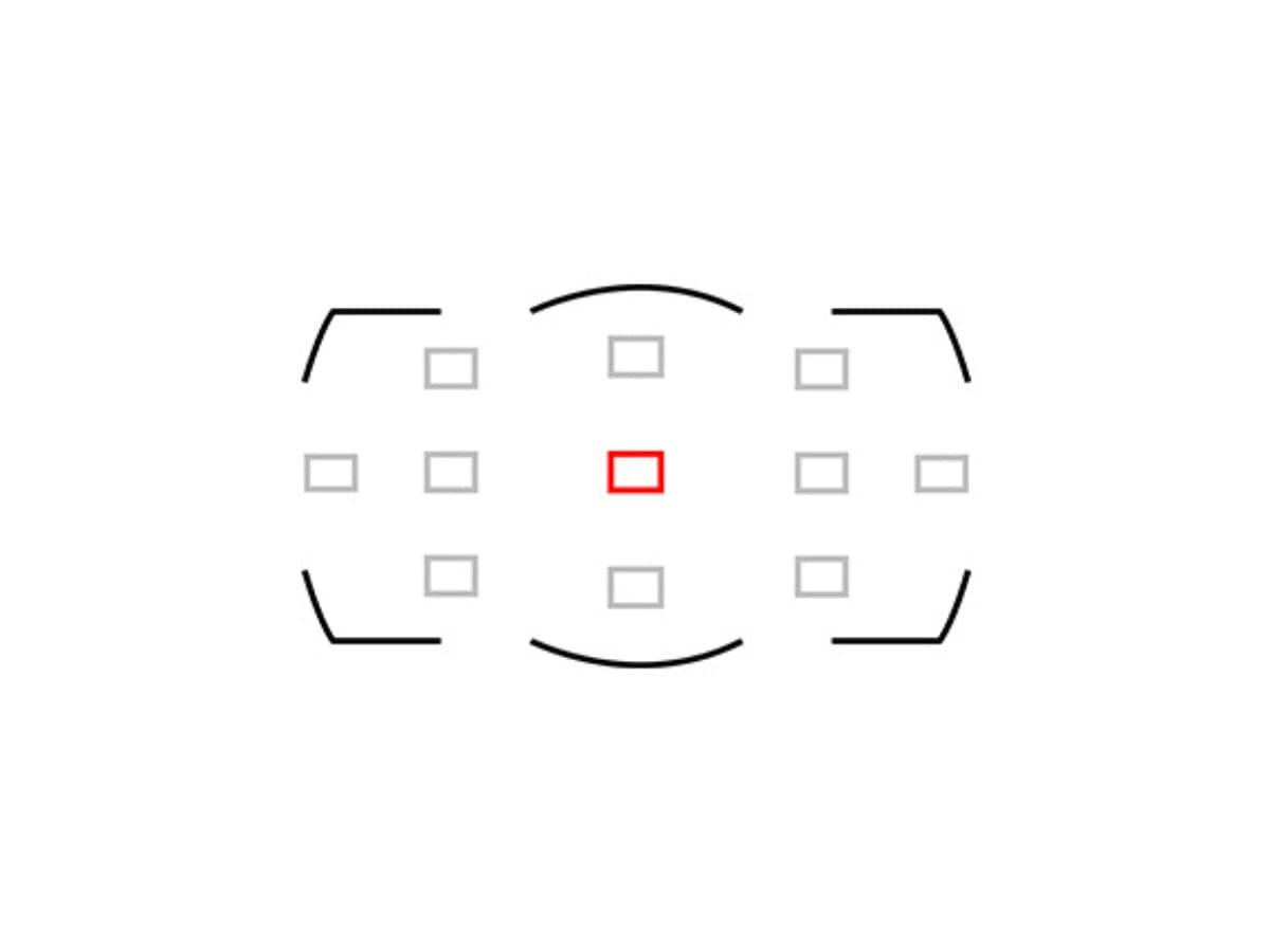 Single point autofocus.