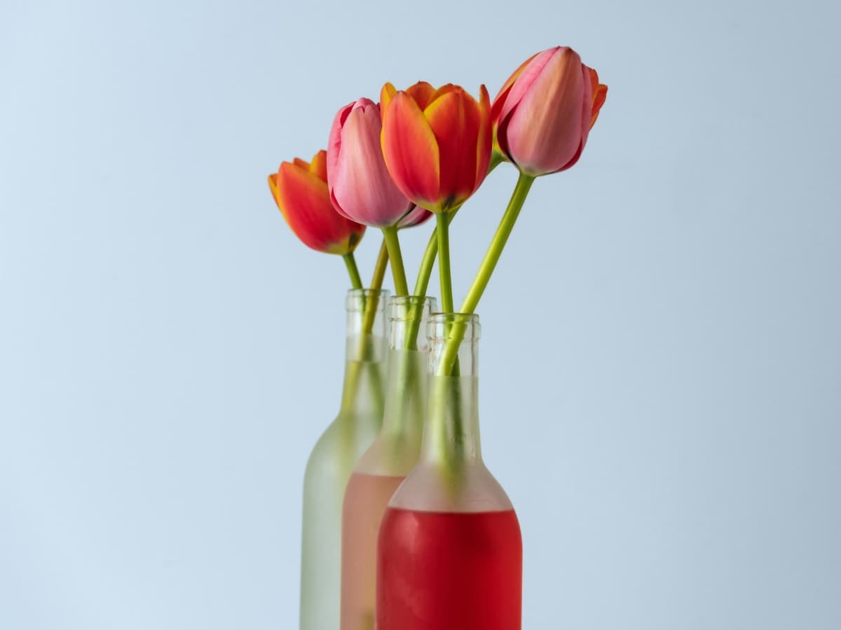 Still-life photo of flowers in a vase.