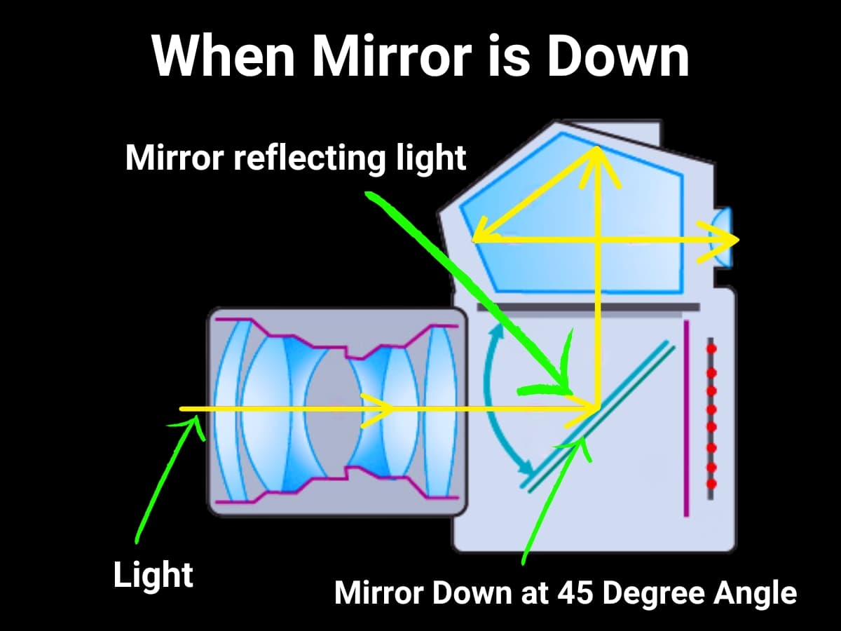 Mirror down on digital camera light not hitting sensor.