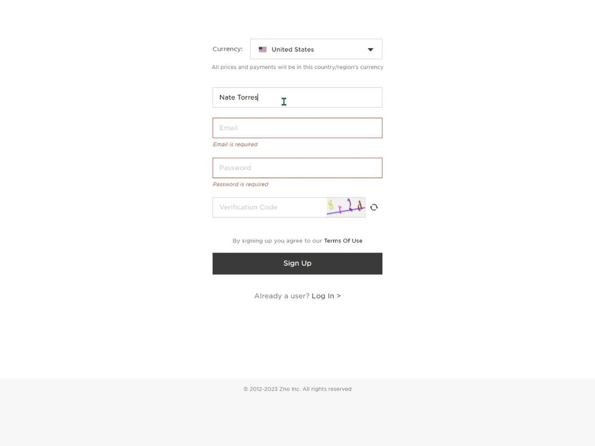 Log in page of Zno gallery.