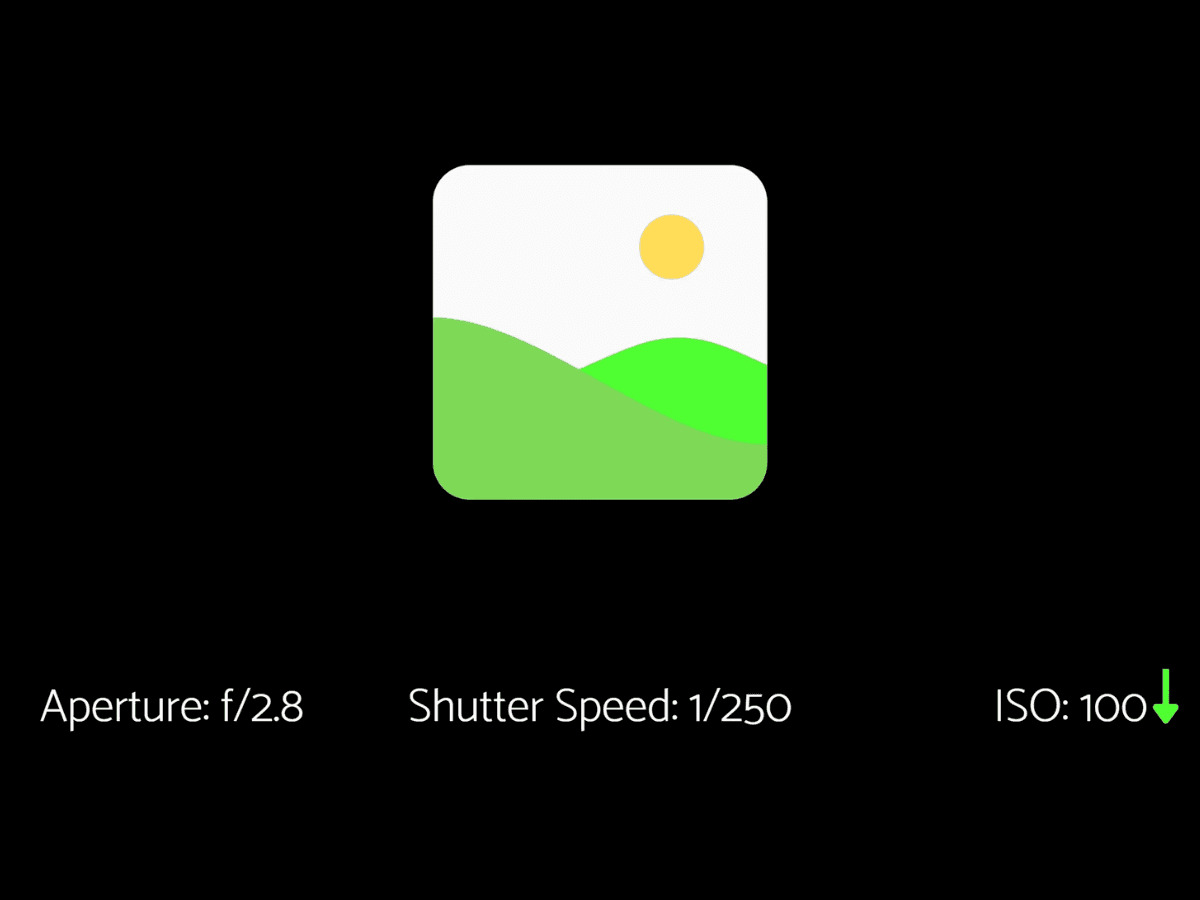 Bright situation with ISO - properly exposed Graphic of a bright situation with ISO for a properly exposed image.
