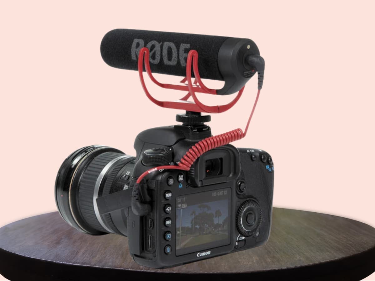 External microphone on hot shoe External microphone on a hot shoe on a camera.