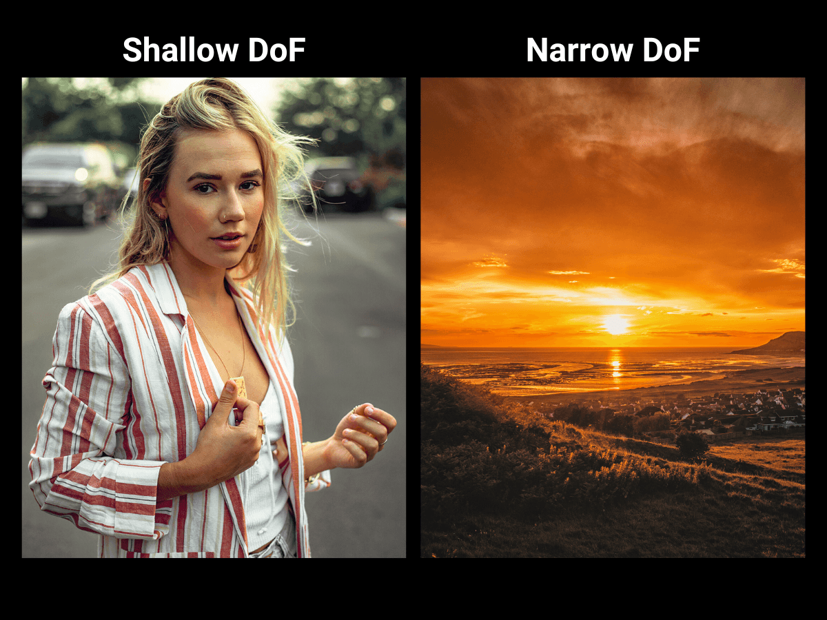 Shallow vs. narrow depth of field Two side by side photos showing shallow and narrow depth of field.