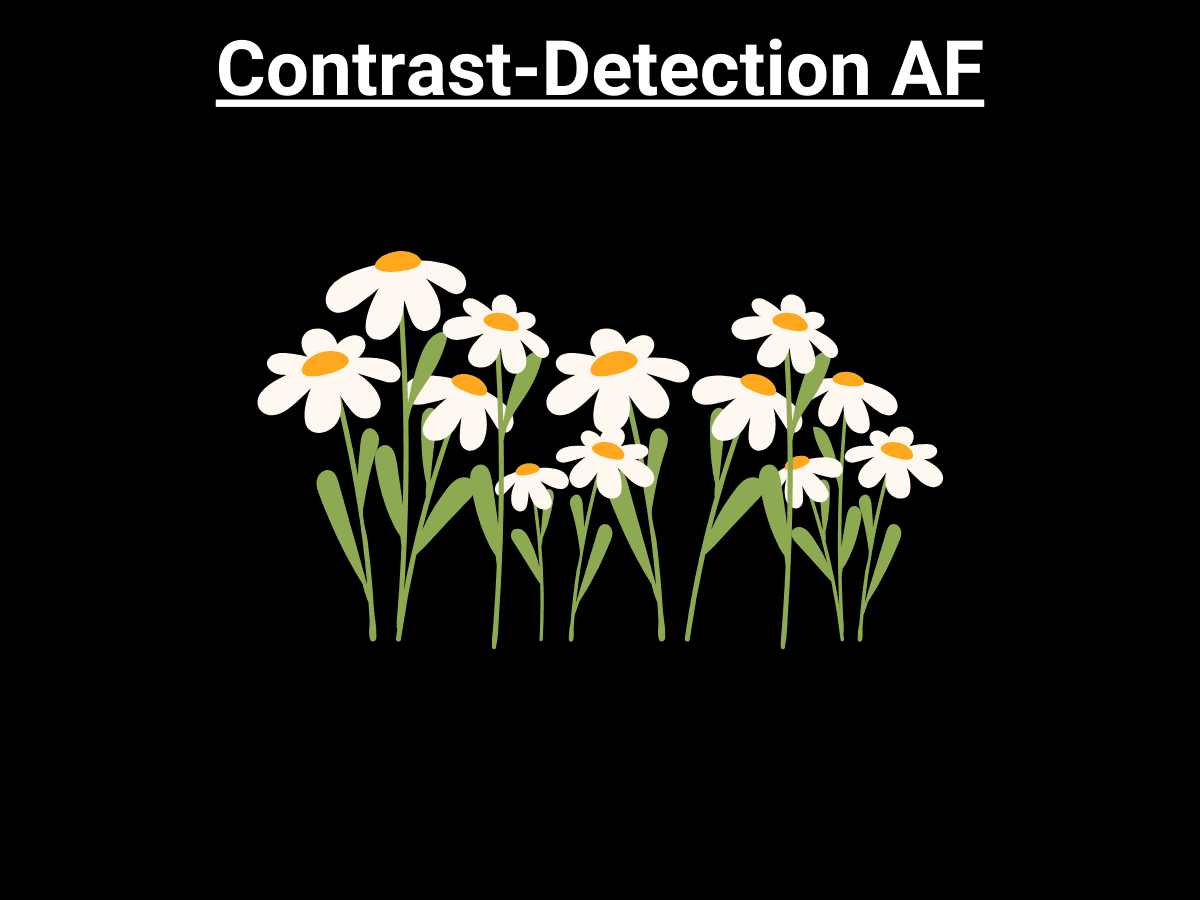 Hybrid AF uses Contrast Detection AF after being lined up from Phase Detection AF Graphic showing Hybrid AF uses Contrast Detection AF after being lined up from Phase Detection AF.