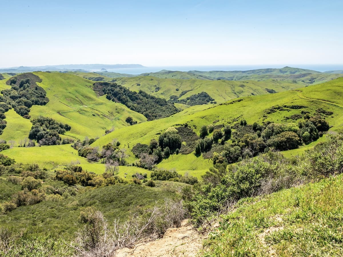 Landscape scene with normal saturation Green hills landscape with normal saturation.