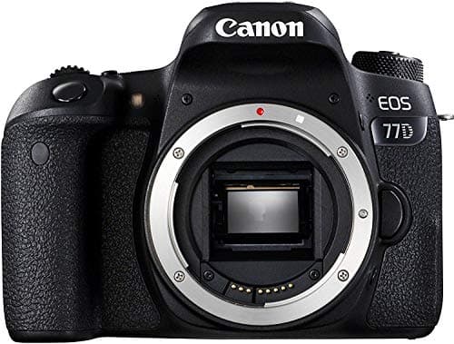 Picture of Canon EOS 77D