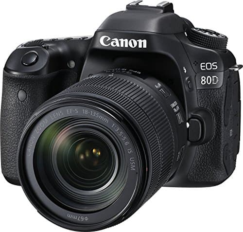 Picture of Canon EOS 80D