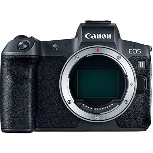 Picture of Canon EOS R