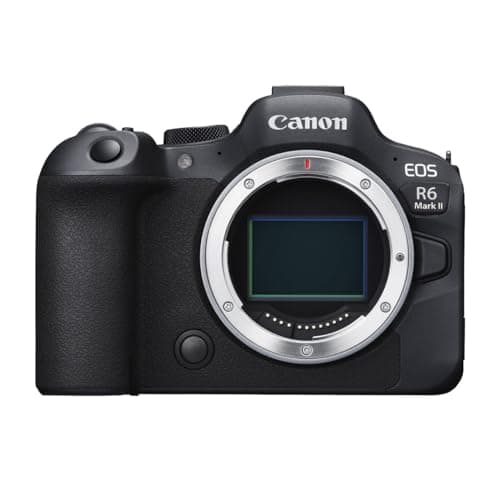 Picture of Canon EOS R6 Mark II