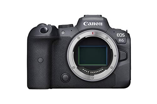 Picture of Canon EOS R6