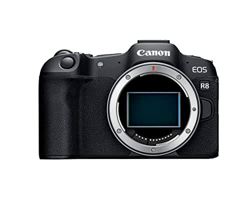 Picture of Canon EOS R8