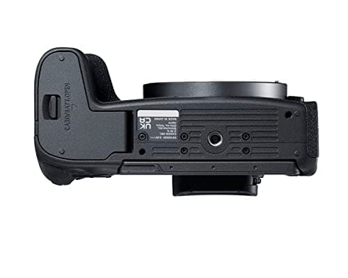 Variant image 5 of Canon EOS R8