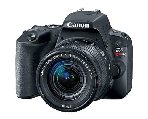 Picture of Canon EOS Rebel SL2