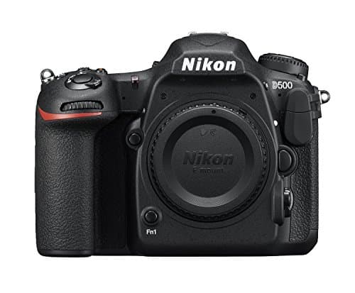 Picture of Nikon D500