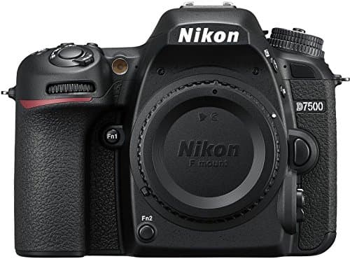 Picture of Nikon D7500