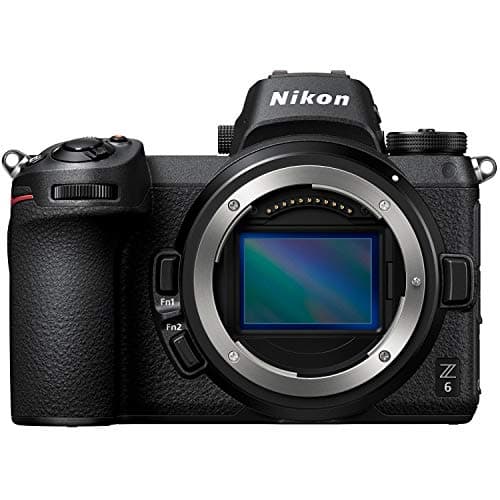 Picture of Nikon Z6