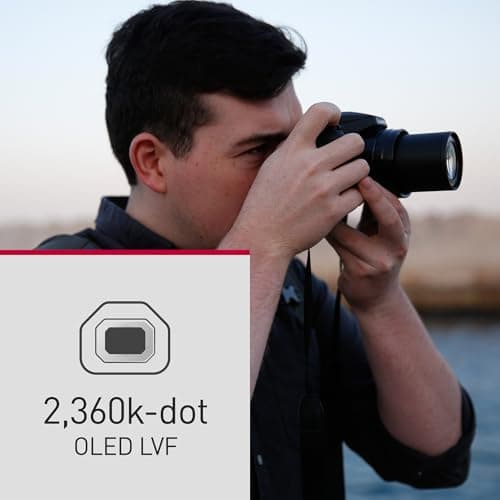 Variant image 6 of Panasonic Lumix FZ80D