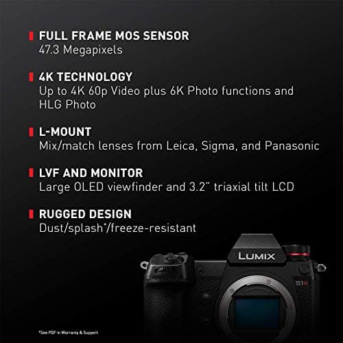 Variant image 1 of Panasonic Lumix S1R
