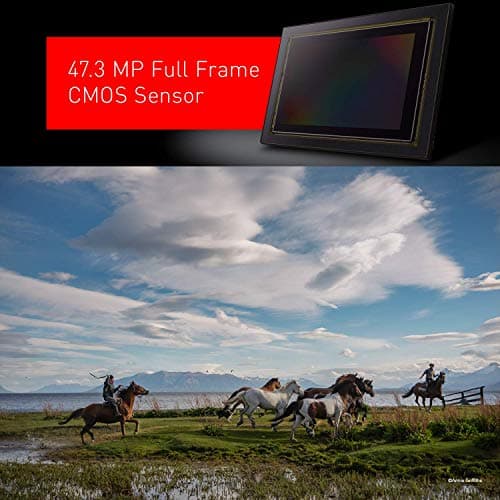Variant image 2 of Panasonic Lumix S1R