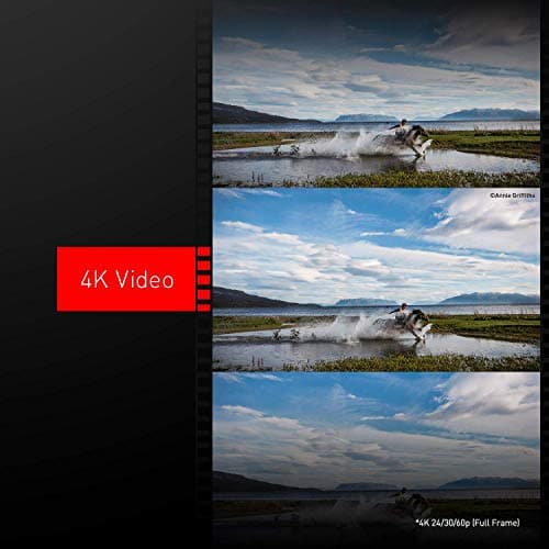 Variant image 3 of Panasonic Lumix S1R