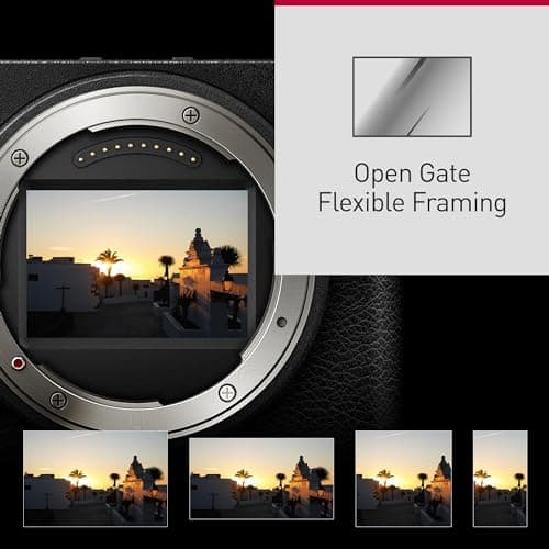 Variant image 4 of Panasonic Lumix S9